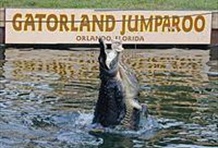 Orlando Explorer Pass